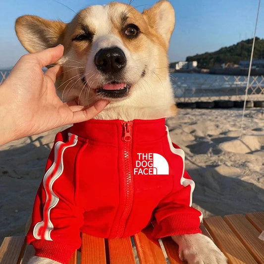 Cool Dog Hoodies: Cozy & Trendy Canine Attire - VelyZoo